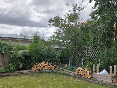 Image: Tree Removal After